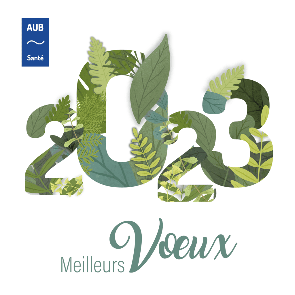 version numerique